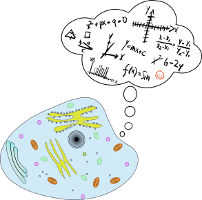 cellule matheuse